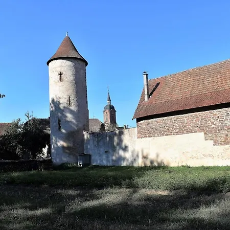 Lägenhet La Petite Maison De Vinylous Reichshoffen