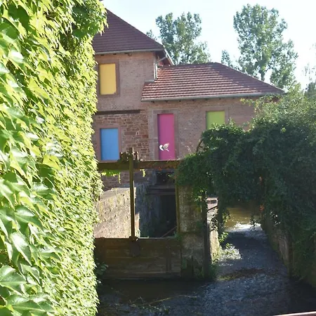 La Petite Maison De Vinylous * Reichshoffen