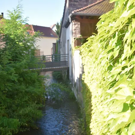 La Petite Maison De Vinylous Reichshoffen